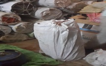 Trafic de stupéfiants : La Douane saisit 33, 58 kg d’amphétamines, 212 kg de chanvre indien et…