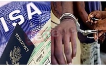 Touba : Un commerçant arrêté pour une escroquerie au visa de 165 millions FCFA