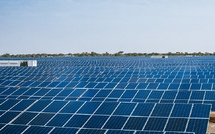 ​Centrale solaire de NEA Kolda : Le plus grand projet de stockage par batterie de la région boucle son financement
