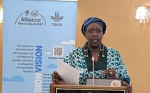 ​Sénégal : des plateformes innovantes pour renforcer la résilience des systèmes agroalimentaires