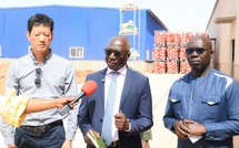 Pertes post-récolte Mabouba Diagne appelle le privé à investir 130 milliards fcfa dans le stockage frigorifique