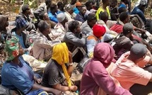 Bignona : Seize candidats à l’émigration irrégulière interpellés au quai de pêche d’Abéné