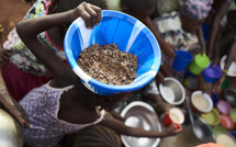 Au Cameroun, l'insécurité alimentaire s'aggrave et menace jusqu’à 2,9 millions de personnes