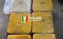 Lutte contre le trafic de drogue à Kédougou : 6 kg de chanvre et 2 400 comprimés de Tramadol saisis à Bantaco