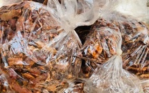 A Dakar, les vendeurs de produits naturels du marché Castors étouffés par les taxes et la pénurie (REPORTAGE)