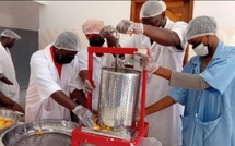 Kolda : des jeunes filles formées à la transformation de viande végétale à base de pomme d’acajou