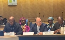Santé : Le Dr Ibrahima Sy défend la souveraineté pharmaceutique africaine à Genève