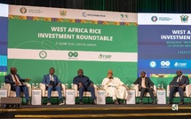 ​Afrique de l’Ouest : la CEDEAO mobilise ses partenaires pour atteindre l’autosuffisance en riz d’ici 2035