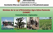 Souveraineté alimentaire : Le Conseil des Ministres adopte le projet de loi d’orientation agrosylvopastorale et halieutique