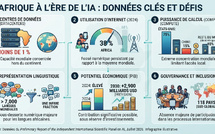  Inclusion, données, expertises : comment l'Afrique court le risque de devenir une « colonie de l'IA »  