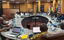 Numérique : la CEDEAO évalue les offres pour le déploiement d’un second câble sous-marin en Afrique de l’Ouest