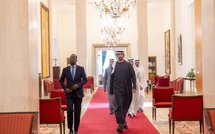 Diplomatie : le Président Bassirou Diomaye Faye reçoit le ministre d'État émirati Sheikh Shakhboot bin Nahyan Al Nahyan