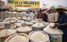 Riz local : le ministre du Commerce annonce l'achat de 9 000 tonnes et la signature d'un mémorandum, mercredi 11 juillet 2026