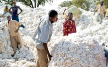 La production industrielle baisse de 7,2% en mai 2026 malgré la résilience du coton en cumul