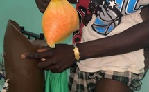 Trafic de drogue : la douane saisi 1590 pilules d'ecstasy dissimulées dans une prothèse de jambe à la frontière de Karang