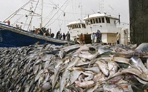 Pêche illégale : la CAOPA salue les progrès du Sénégal