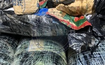 Lutte contre la drogue : Plus de 300 kg de chanvre indien saisis à Thiaroye