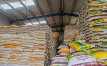 Importations 2025 : légère contraction de 0,5 % malgré la hausse des achats de riz et de blé