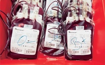 Urgent/pénurie de sang : seulement 13 poches disponibles pour les urgences(L'ANDOBES)