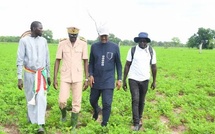Campagne agricole 2026-2027 : Cheikhou Oumar Ba réaffirme la politique de proximité de l'État à Médina Yoro Foulah
