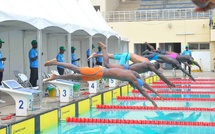 Championnats d’Afrique de natation de la zone 2 : Dakar accueille la 19e édition du 28 au 30 août