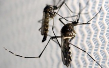 La Guinée-Bissau, deuxième pays d'Afrique touché par Zika après le Cap-Vert