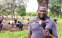 Jeunesse, agriculture et sport : l’ASC Namar de Kounayan Mancagne montre la voie 