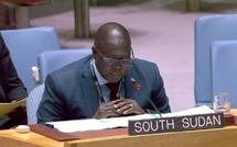 Soudan du Sud : l'ONU juge les conditions sécuritaires et politiques insuffisantes pour le scrutin de décembre