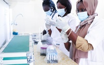 Certification en santé 2026 : le ministère fixe les dates des examens de Sage-femme, d'Infirmier et d'Assistant infirmier