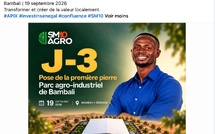 Agroalimentaire à Sédhiou : Sadio Mané investit 11,7 milliards FCFA dans un parc agro-industriel à Bambali
