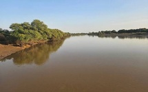 Alerte rouge à Kédougou : le fleuve Gambie a dépassé sa cote d’alerte de plus d'un mètre
