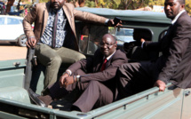 ​Au Zimbabwe, les « vets » et le président Mugabe divorcent